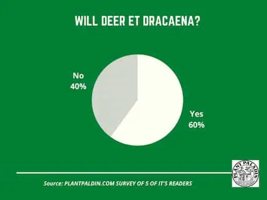 Will deer eat dracaena?