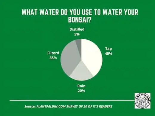 What type of water is best for bonsai - survey results