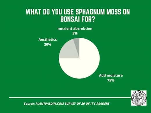 Sphagnum moss for bonsai - survey results