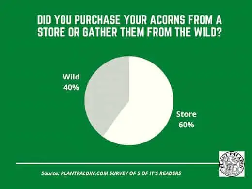 Does Anyone Buy Acorns - survey results