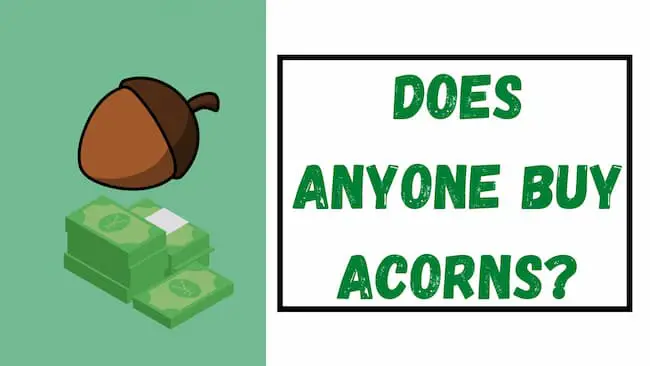Does Anyone Buy Acorns