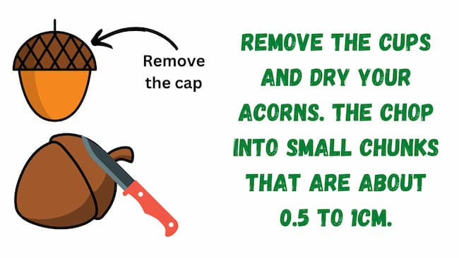 chop the acorn