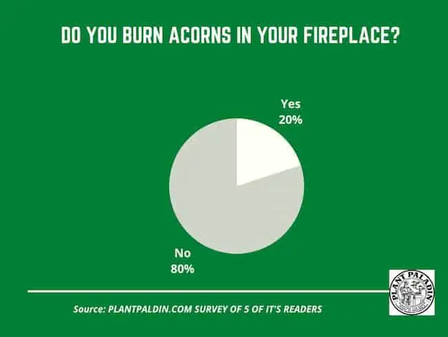 Can you burn acorns in a fireplace - survey results