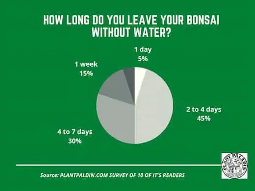 How long can bonsai trees go without water - survey results