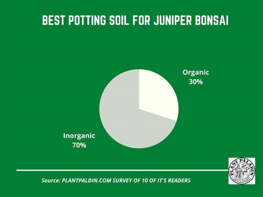 Best potting soil for Juniper bonsai - survey results