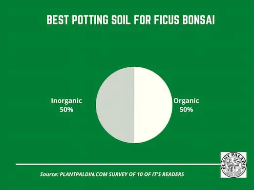 Best potting soil for Ficus bonsai - survey results
