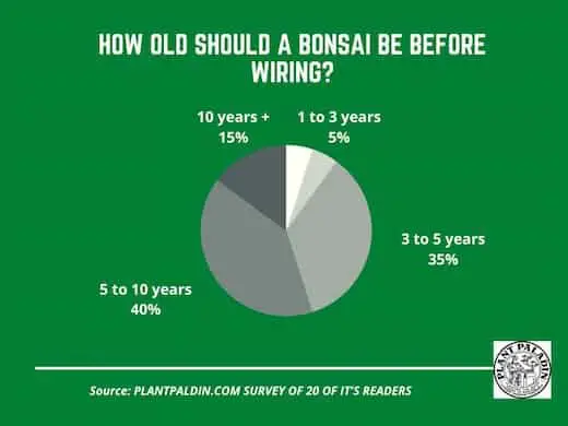 How (Old, Thick, Long) Should a Bonsai Be Before Wiring? - survey results