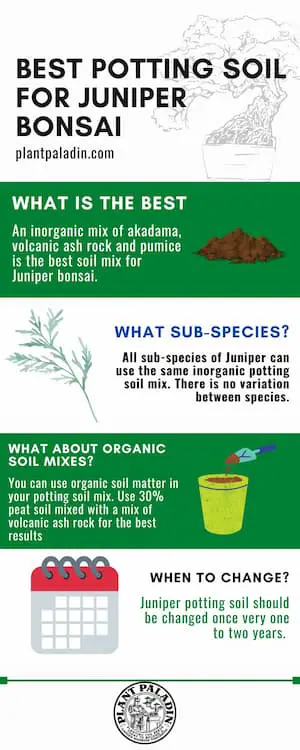 Best potting soil for Juniper bonsai - infographic