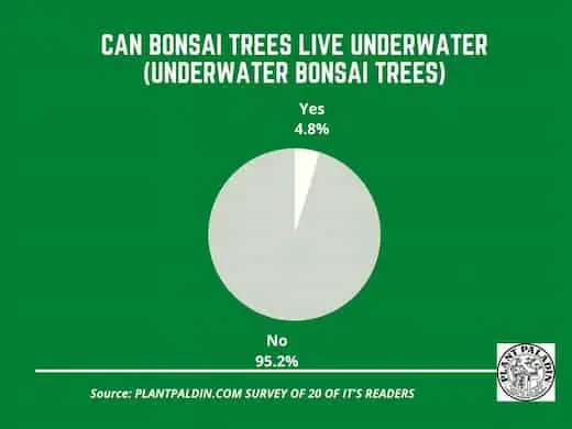 Can bonsai trees live underwater - survey results