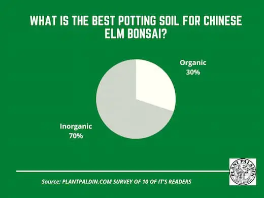 best potting soil for Chinese elm bonsai - survey