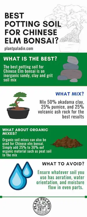 best potting soil for Chinese elm bonsai - infographic