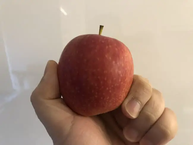 When Are Apples In Season In Washington