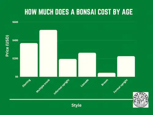bonsai tree cost by style