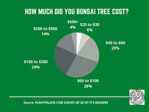 how much does a bonsai tree cost? survey results?