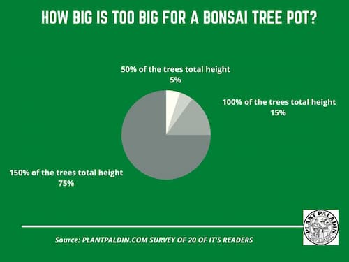 Can a bonsai pot be too big - survey results
