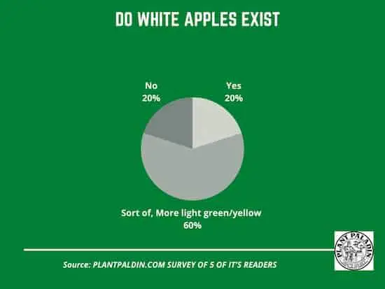 Do white apples exist? survey results