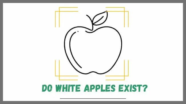 Do white apples exist?