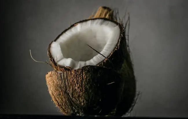 How To Make A Coconut Bonsai